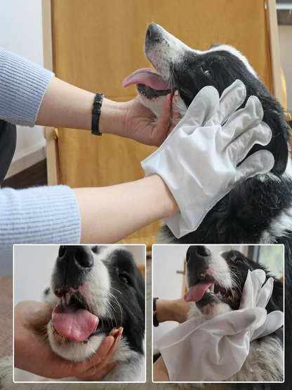 Furra Glove™ — Disposable Grooming Mitts